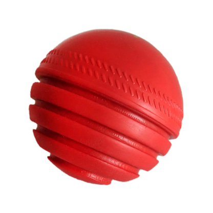 NAS Cricket Swing Ball