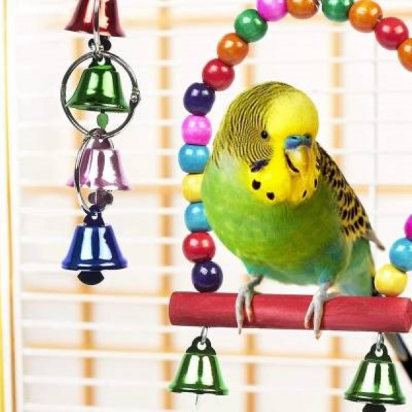 Bird Cage Toys