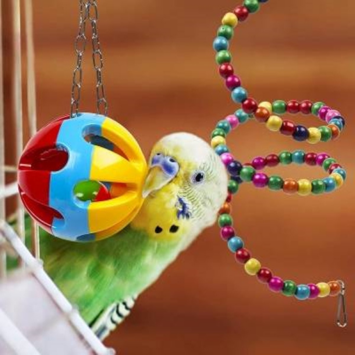 Bird Cage Toys