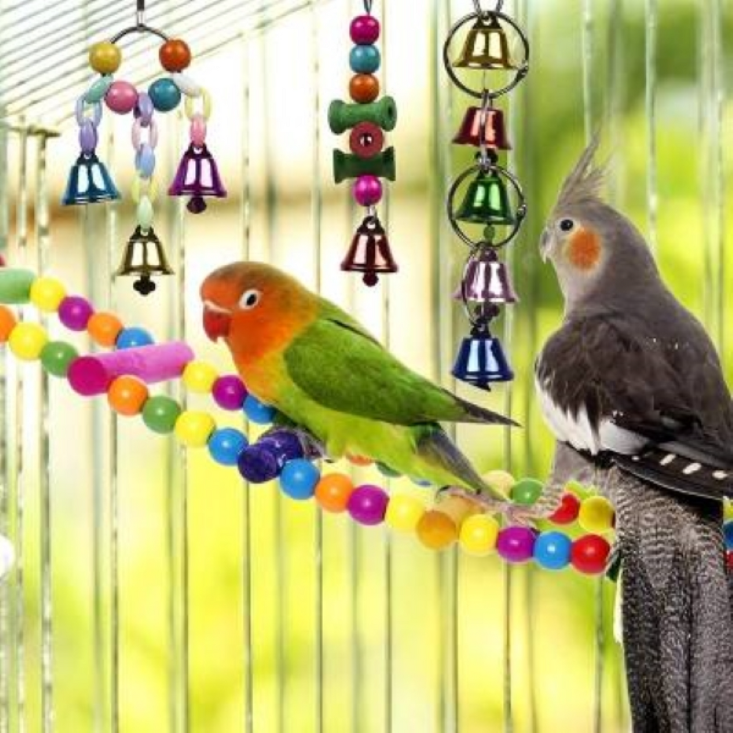 Bird Cage Toys