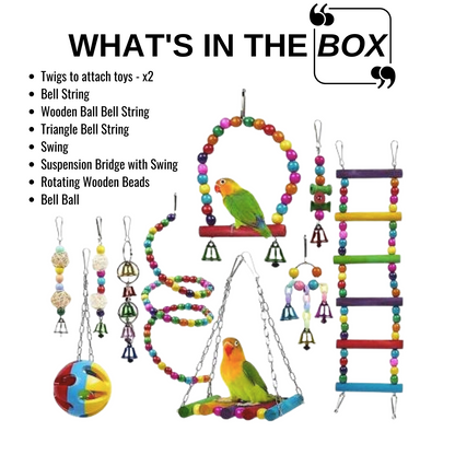 Bird Cage Toys