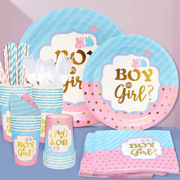 Disposable Gender Reveal Dinnerware for 25 Guests