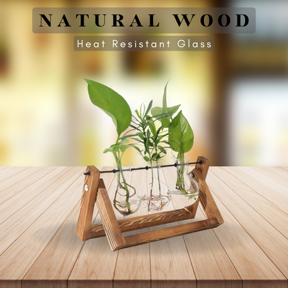 Tabletop Decorative Hydroponics Glass Vase with Wooden Stand