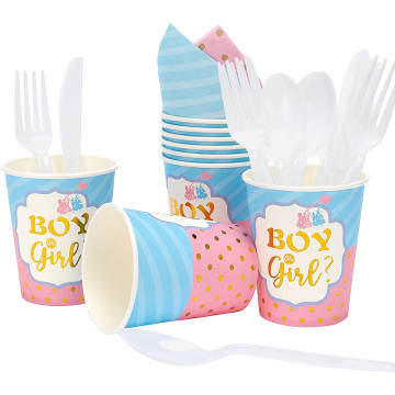 Disposable Gender Reveal Dinnerware for 25 Guests