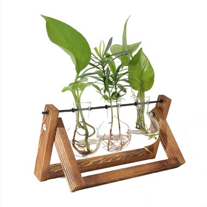 Tabletop Decorative Hydroponics Glass Vase with Wooden Stand