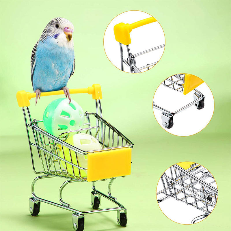 Bird Training Set